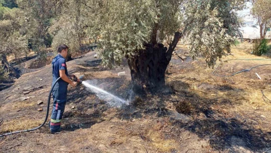 Aynı yer yeniden yandı ekipler harekete geçti