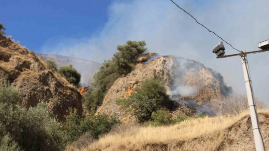 Aytepe'deki yangın kontrol altına alındı