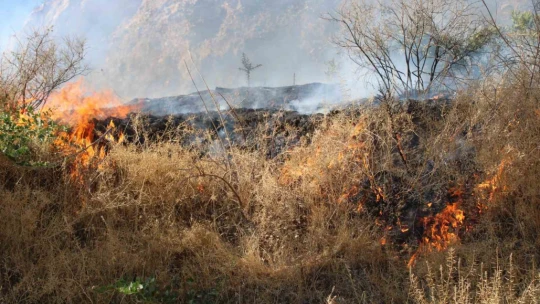 Aytepe'deki yangın kontrol altına alındı