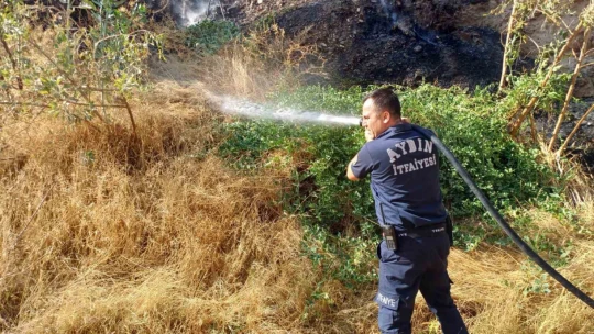 Aytepe mesire alanında yangın