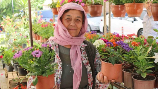 Baharın gelmesiyle birlikte rengarenk çiçekler görücüye çıktı