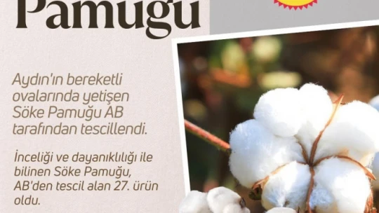 Bakan Yumaklı'dan Söke Pamuğu paylaşımı