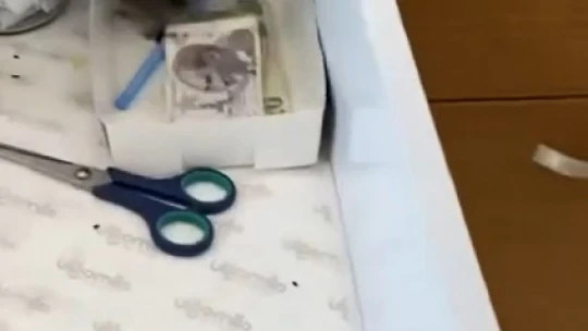 Baklavacıdaki fare görüntüsü mide bulandırdı