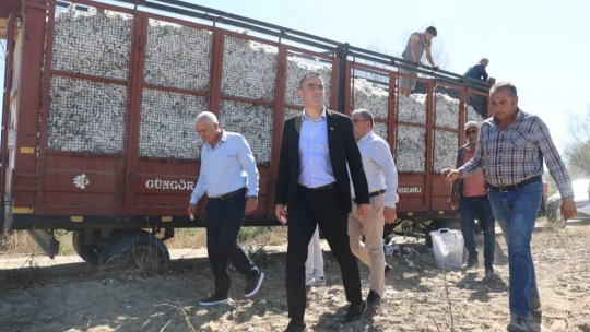 Başkan Arıcı pamuk hasadına katıldı