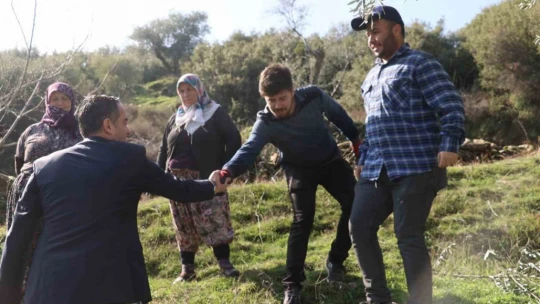 Başkan Arıcı zeytin hasadında üreticiler ve işçiler ile bir araya geldi