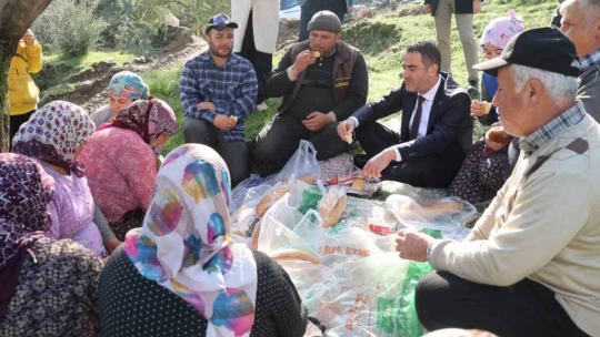 Başkan Arıcı zeytin hasadında üreticiler ve işçiler ile bir araya geldi
