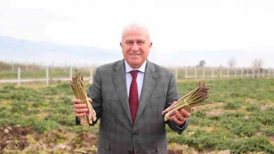 Başkan Atay'dan enginar, kuşkonmaz ve şevketi bostan hasadı