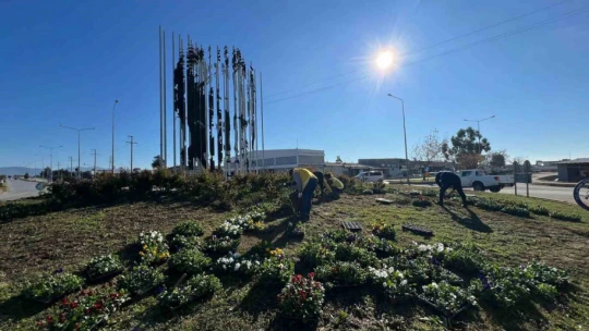 Başkan Çerçioğlu Didim'i rengarenk çiçekler ile süslüyor