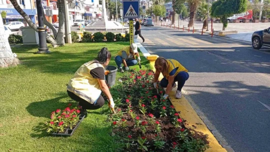 Başkan Çerçioğlu'ndan Aydın'a yeşil dokunuş