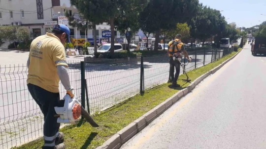 Başkan Çerçioğlu'ndan Aydın'a yeşil dokunuş