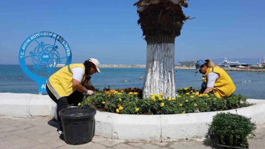 Başkan Çerçioğlu'ndan Kuşadası'nda çevre seferberliği