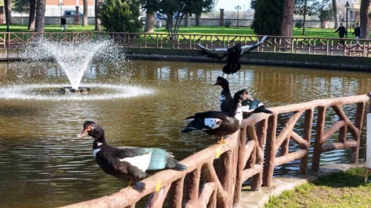 Başkan Çerçioğlu'nun çalışmaları ile Sümerpark temiz bir görünüme kavuştu