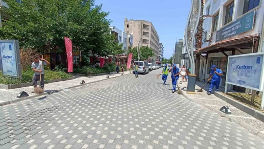 Başkan Çerçioğlu'nun çalışmaları ile Kuşadası ve Didim pırıl pırıl oluyor