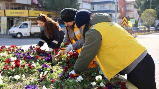 Başkan Çerçioğlu'nun Nazilli'de gerçekleştirdiği çalışmalar sürüyor