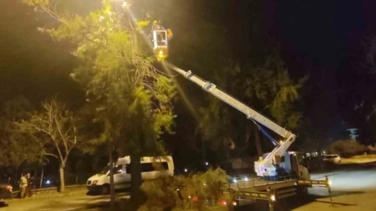 Başkan Çerçioğlu'nun turizm bölgelerinde çalışmaları kış aylarında da sürüyor