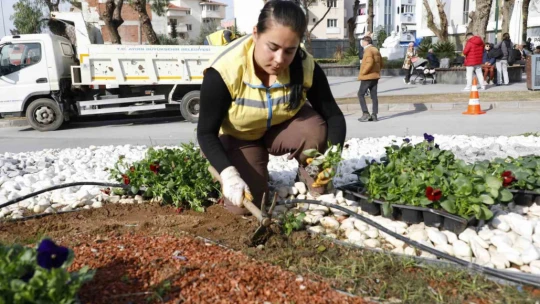 Başkan Çerçioğlu'nun turizm bölgelerinde çalışmaları kış aylarında da sürüyor