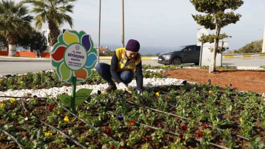 Başkan Çerçioğlu'nun turizm bölgelerinde çalışmaları kış aylarında da sürüyor