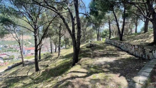 Başkan Ercan'dan 'piknik' daveti
