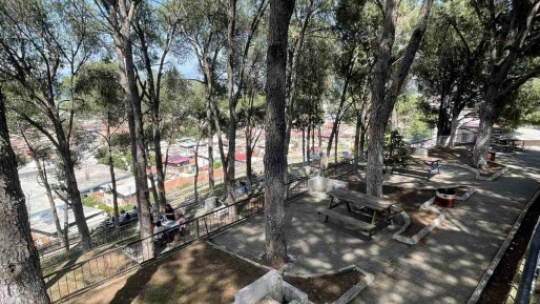 Başkan Ercan'dan 'piknik' daveti