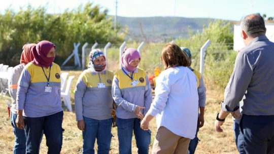 Başkan Gençay, enginar hasadına katıldı