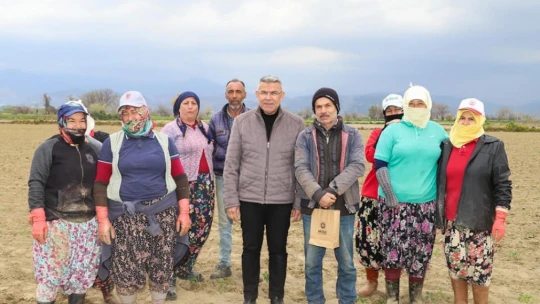 Başkan Güler, tarım işçileriyle domates fidesi dikti