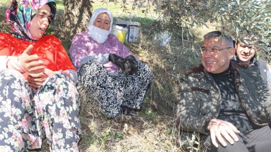 Başkan Güler, zeytin hasadı yapan üreticilerle bir araya geldi