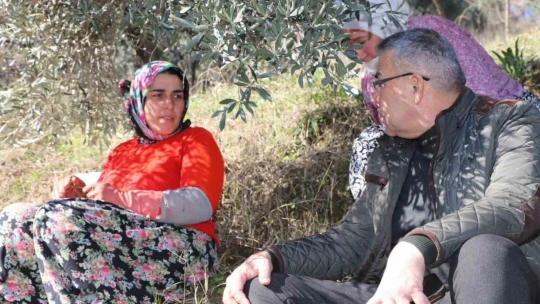 Başkan Güler, zeytin hasadı yapan üreticilerle bir araya geldi