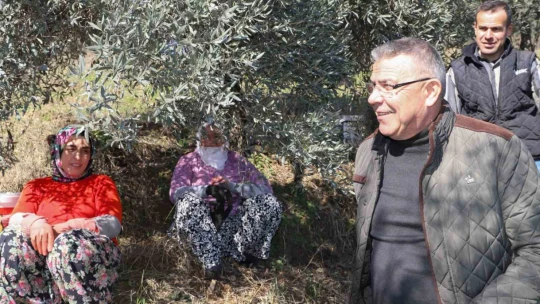 Başkan Güler, zeytin hasadı yapan üreticilerle bir araya geldi