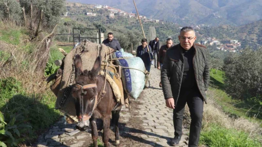 Başkan Güler, zeytin hasadı yapan üreticilerle bir araya geldi