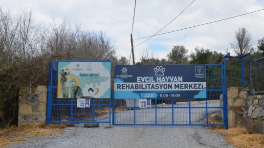 Başkan Günel'den can dostlar için yeni bir hizmet daha