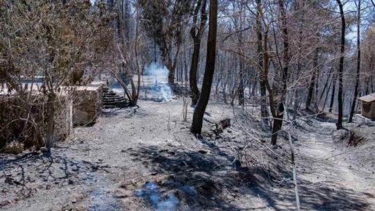 Başkan Günel yangın alanında incelemede bulundu