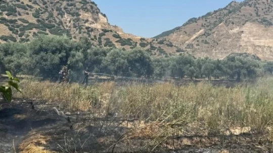 Başkan Kaya'dan yangın uyarısı: 'Açık alanlarda ateş yakmayın'