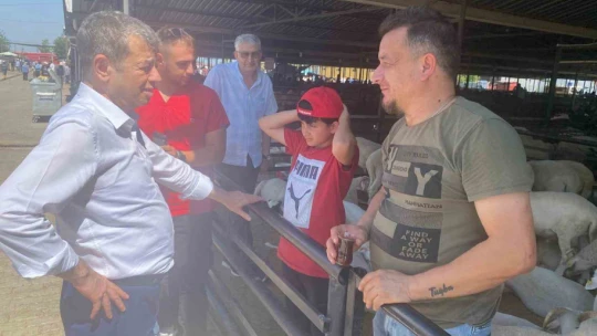 Başkan Künkcü hayvan pazarına indi