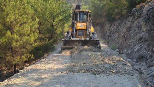Başkan Özel'den incir üreticisine yol desteği