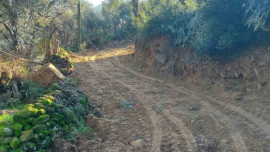 Başkan Özel, vatandaşların taleplerini yerine getirmeye devam ediyor