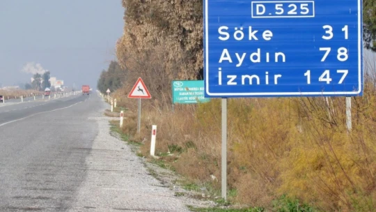 Başkan Sürücü: 'Çok nadir ve önemli bir türü daha kaybettik'