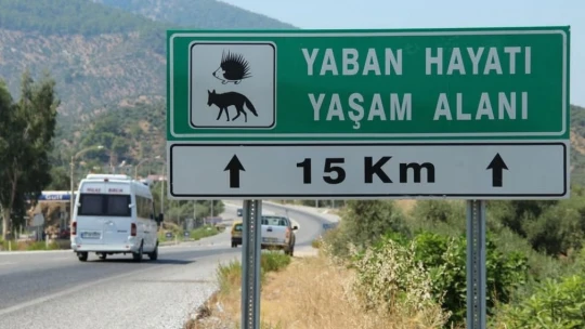 Başkan Sürücü: 'Çok nadir ve önemli bir türü daha kaybettik'