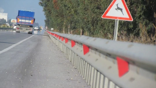 Başkan Sürücü: 'Çok nadir ve önemli bir türü daha kaybettik'