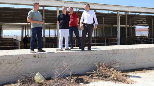Başkan Tetik, Nazilli'de devam eden çalışmaları yerinde inceledi