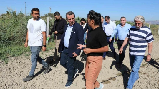 Başkan Yetişkin enginar fidelerini toprakla buluşturdu