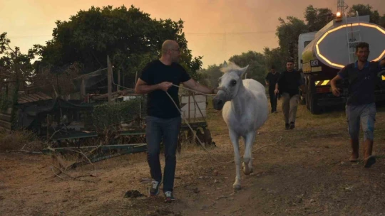 Başkan Zencirci'den yangın bölgelerinde gece mesaisi