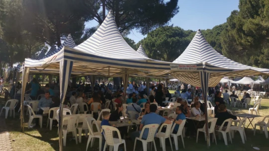Nazilli'de asrın sünnet düğünü