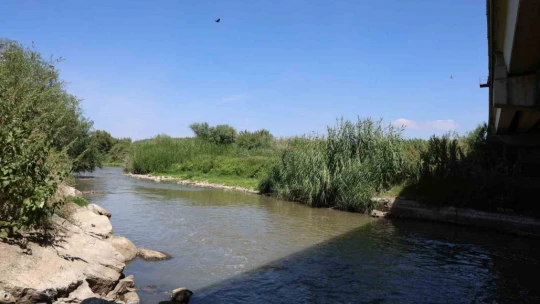 Batı Anadolu'nun en büyük nehri suya hasret kaldı