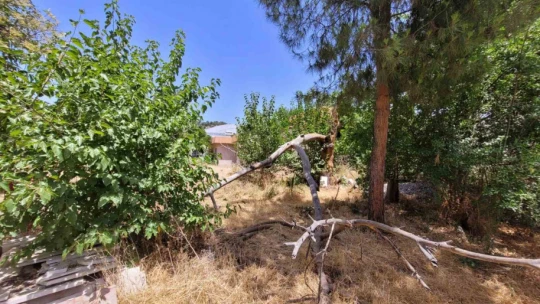 Binlerce kişi ziyarete geliyordu, şimdi çürümeye terk edildi