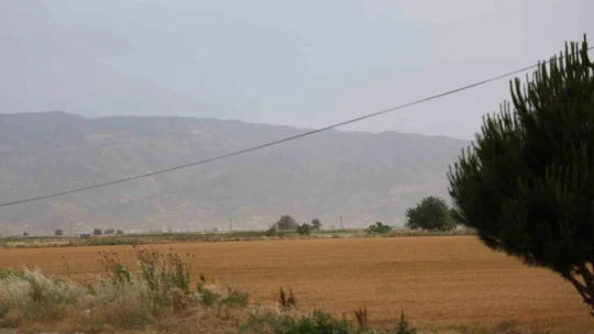 Bir zamanlar taşan Menderes şimdi suya hasret