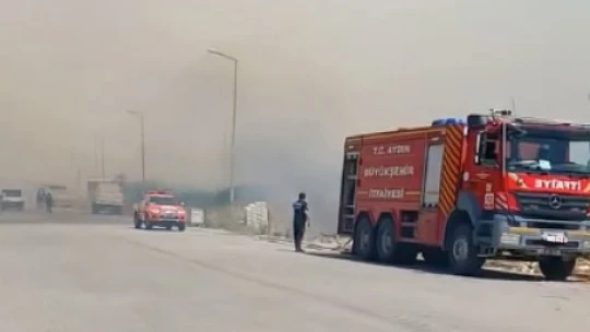 Boş arazide çıkan yangın korkuttu
