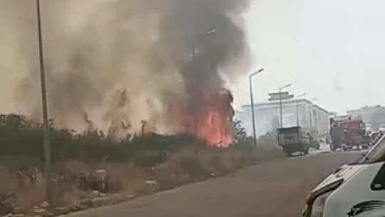 Boş arazide çıkan yangın korkuttu