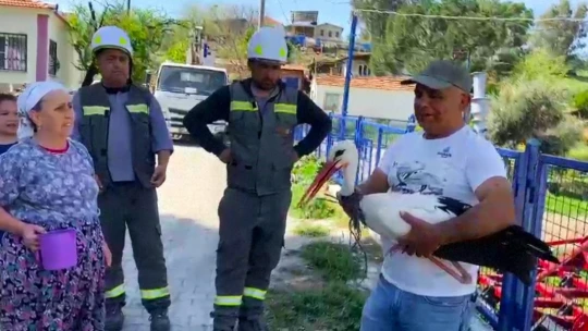 Boynuna ip dolanan leylek, boğulmaktan son anda kurtarıldı