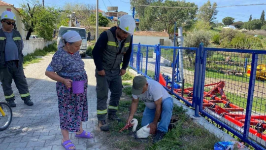 Boynuna ip dolanan leylek, boğulmaktan son anda kurtarıldı