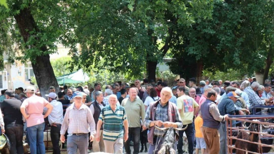 Bozdoğan Belediyesi'nden Kurban Bayramı öncesi satış yeri hizmeti